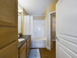Apartments in Baton Rouge - Two Bedroom Apartment - Cameron - Bathroom  